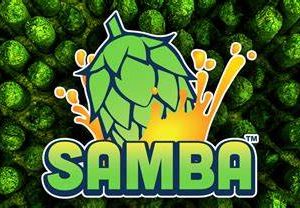 ZAMBA 500G