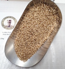 BA 500G GOLDEN PROMISE