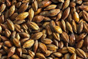 SM BROWN MALT 1KG