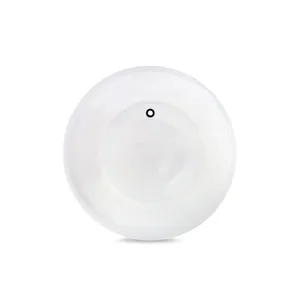 SPARE 30L PAIL LID
