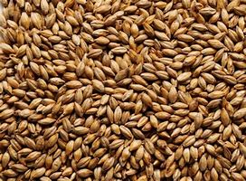 JW 1KG AMBER MALT