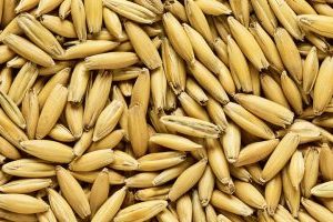BA 5KG OAT MALT