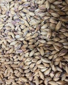 MM AMBER MALT 1KG