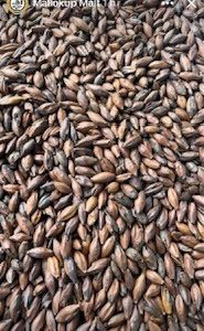 MM LIGHT CHOC MALT 25KG