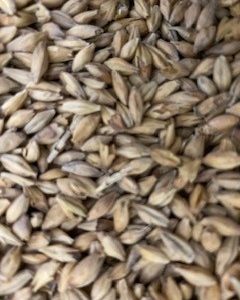 MM MUNICH MALT 1KG
