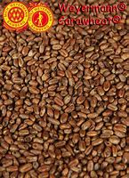 WEY CARAWHEAT 5KG